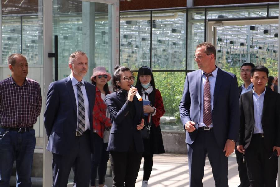 A女孩”为何变身张江“新农人”？九游会乡村里的梦想家丨“PRAD(图1)